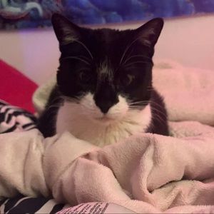 Meet your Posher, Jesse